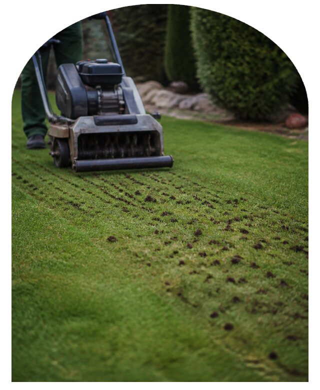 Профессиональная аэрация газона на участке в Кузнецке