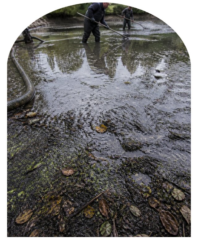 Очистка пруда в Кузнецке от ила мусора и водорослей с вывозом